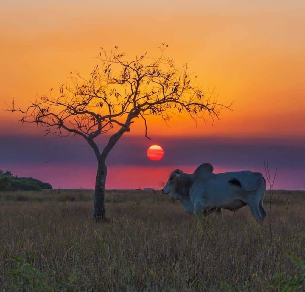 Home 9 96012421 2848349315242963 110734367243894784 n