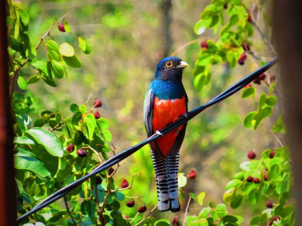 Home 8 WhatsApp Image 2026 02 07 at 11.33.15